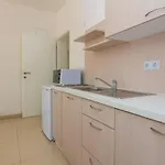 One-bedroom In Apartment Vir